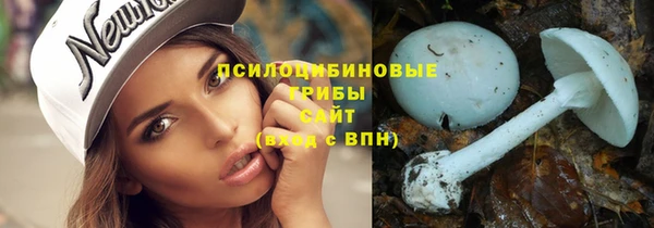 шишки Абдулино