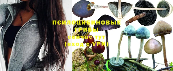 шишки Абдулино